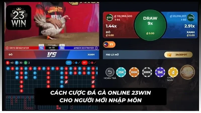 Giao diện trực quan sảnh đấu với các thông số trận đấu được hiển thị rõ nét trên màn hình