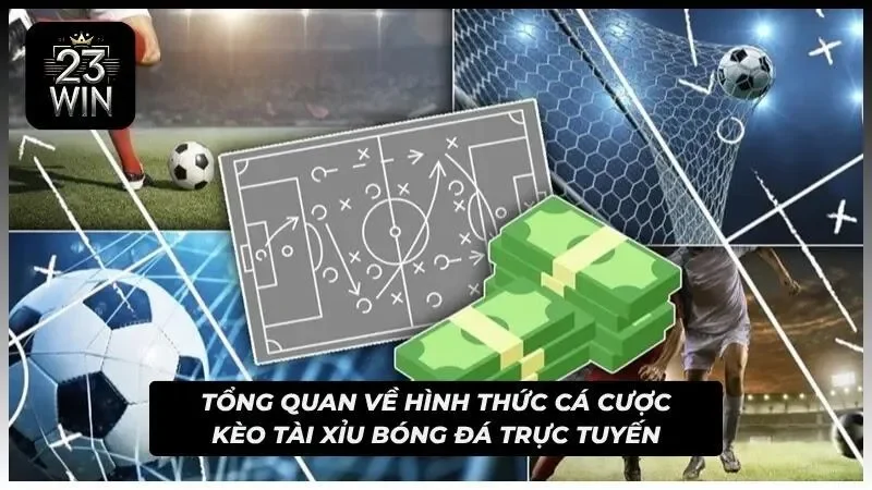 Hình thức cá cược tài xỉu thể thao cực hot