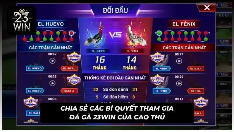 Mẹo cược đá gà với các bí quyết cực đỉnh