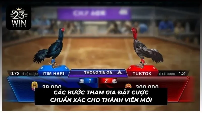 Quy trình tiến hành trải nghiệm đá gà 23WIN cực đơn giản